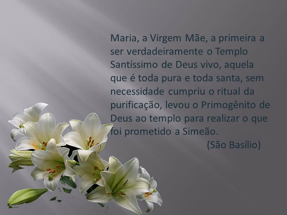 Slide3
